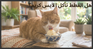 هل القطط تأكل الآيس كريم؟ دليل شامل حول الفوائد والأضرار والمخاطر الصحية